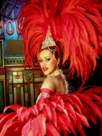 Spend Christmas in Paris and see one of the amazing shows, like the Lido and Moulin Rouge