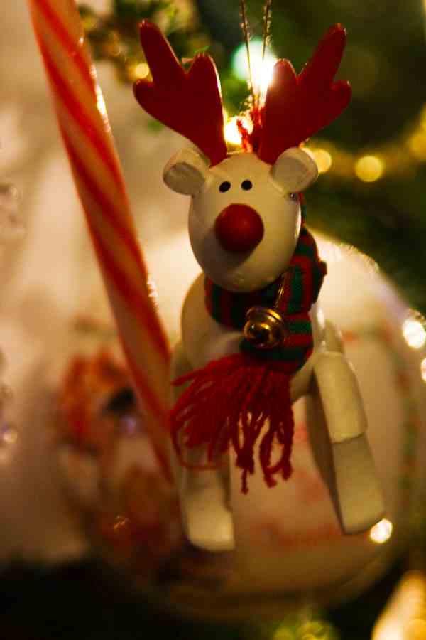 Christmas in Paris - enjoy the Christmas holiday season in one of Europe's top cities - Paris
