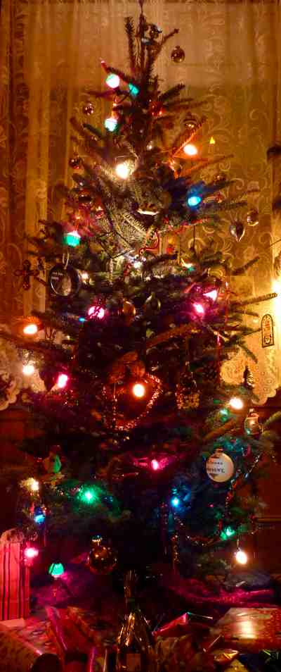 Christmas in Paris starts with a Christmas tree