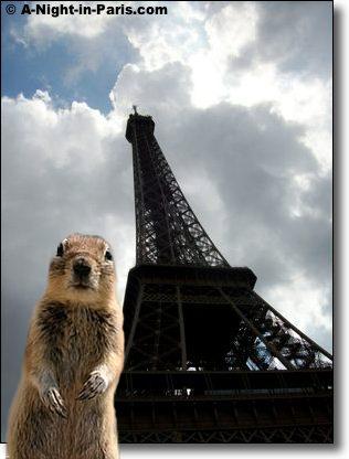 Enjoy my List of Top Travel Tips, and you can see even squirrels love the Eiffel Tower in Paris :-)