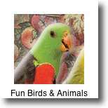Lots of  fun activities for kids including animals and birds in Paris