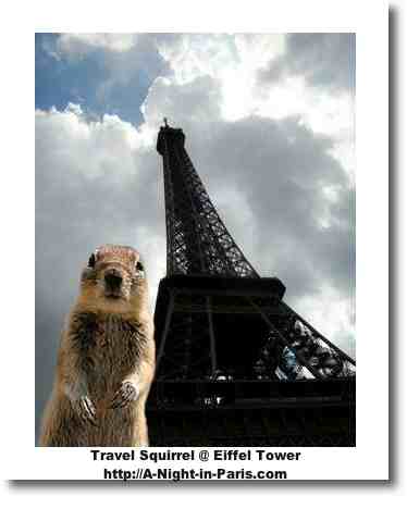 Travel Squirrel in Paris at the Eiffel Tower